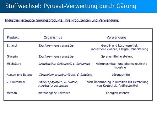 Stoffwechsel: Übersicht