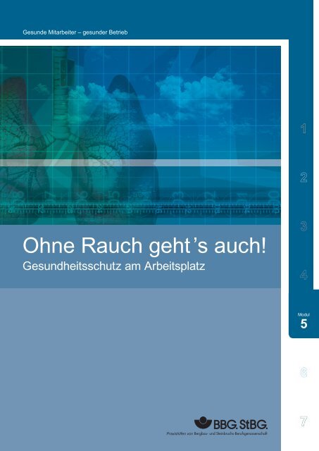 Ohne Rauch geht 's auch! - Gesundheitsschutz am ... - Praxishilfen