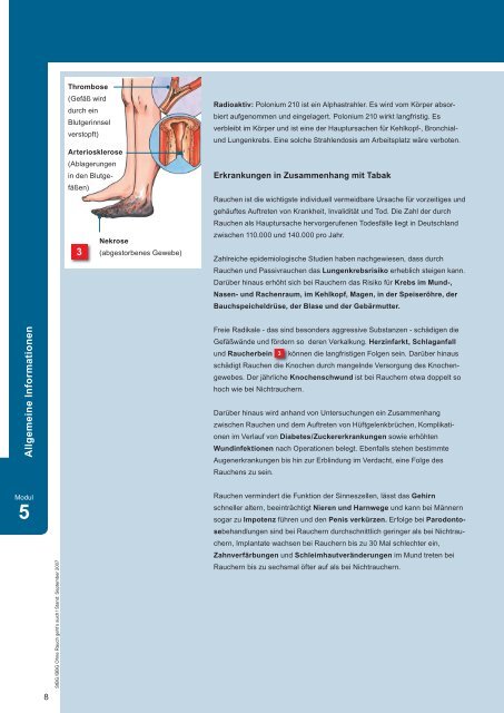 Ohne Rauch geht 's auch! - Gesundheitsschutz am ... - Praxishilfen