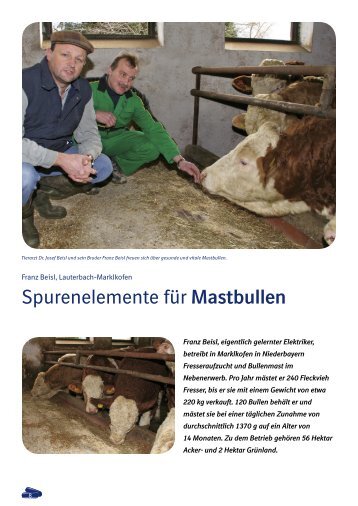 Spurenelemente für Mastbullen - Tiergesundheit und mehr