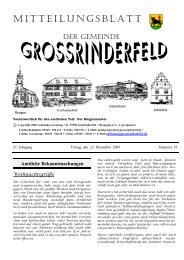 Mitteilungsblatt - Großrinderfeld