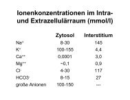 Ionenkonzentrationen im Intra- und Extrazellulärraum (mmol/l)