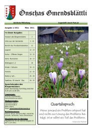 Ausgabe 01/2011 - Gemeinde Laterns