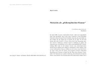 Nietzsche als „philosophischer Flaneur“