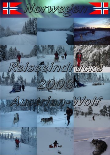 Norwegen - Northern Storm Wolf