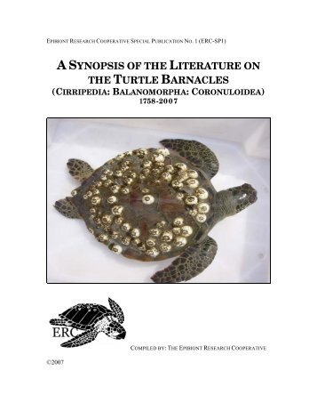 A Synopsis of the Literature on the Turtle Barnacles ... - Seaturtle.org