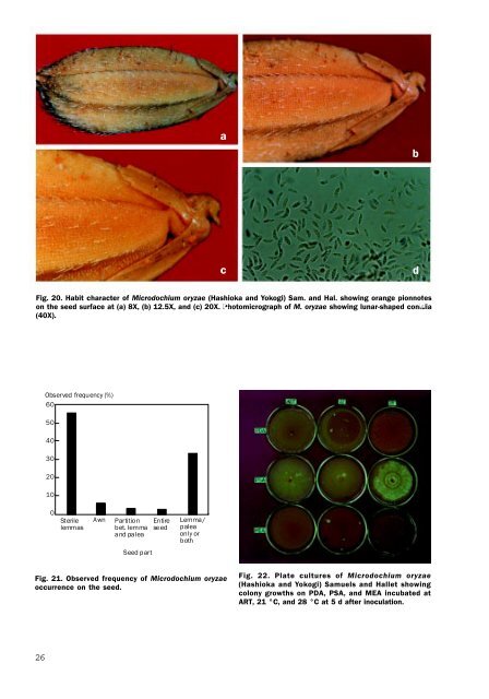 Untitled - International Rice Research Institute