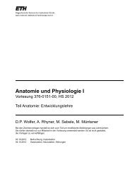 PDF 1.08M - Dpwolfer.ch