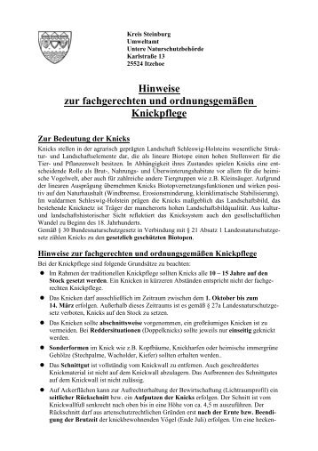 Hinweise zur fachgerechten und ordnungsgemäßen Knickpflege