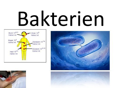 Bakterien