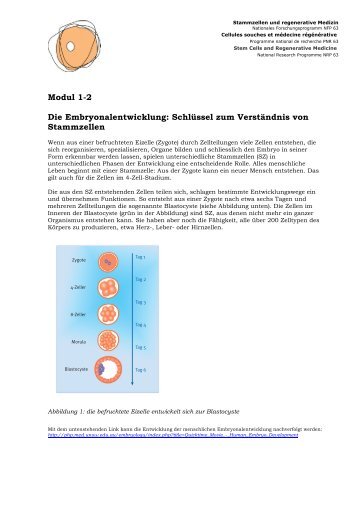 Embryonalentwicklung (PDF, 5.7 MB) - NFP 63