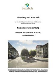 Botschaft Rechnung 2012 - Gemeinde Buttisholz