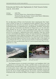 Exkursion der EGZ an den Tagliamento (i, Friuli ... - Entomo Helvetica