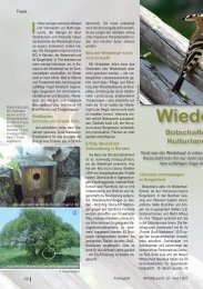 Wiedehopf: Botschafteer intakter ... - Naturschutzbund