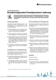 Erweiterungsmodul Fremdsprachen/-währung - HS - Hamburger ...