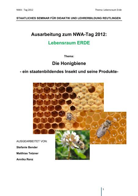 Honigbiene – ein staatenbildendes Insekt und seine Produkte