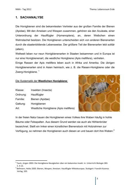 Honigbiene – ein staatenbildendes Insekt und seine Produkte
