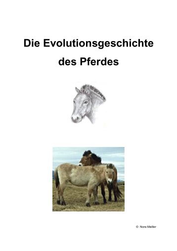 Die Evolutionsgeschichte des Pferdes - Noram.at