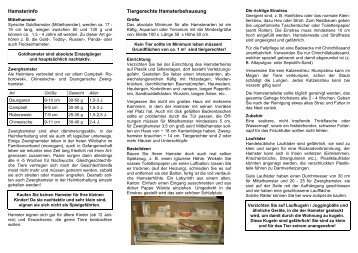 Goldhamster / Zwerghamster tiergerecht halten - Tierarztpraxis ...