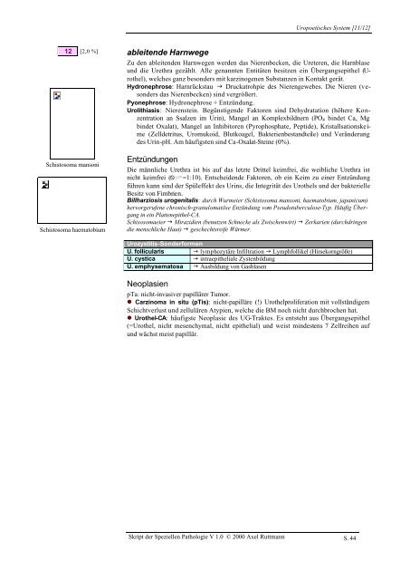 Skript der Speziellen Pathologie orientiert am GK3 V 1.0 - Sts-net.de