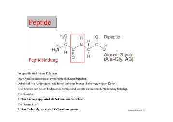 Peptide Peptide