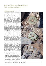 Stalking the wild Lophophora_deutsch-part1.pdf - Lophophora.info