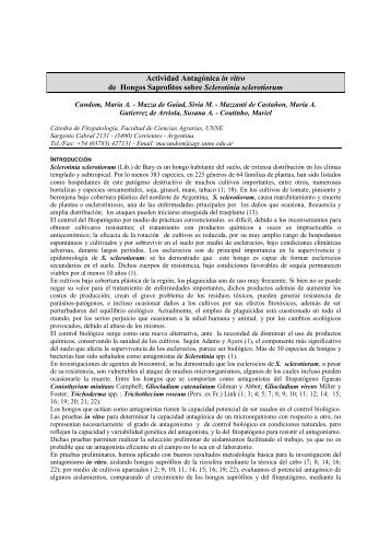 Actividad Antagónica in vitro de Hongos Saprofitos sobre Sclerotinia ...