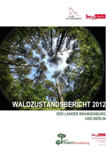 Waldzustandsbericht 2012 der Länder Brandenburg und Berlin