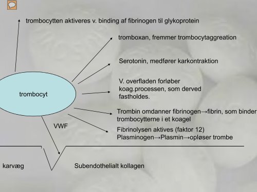 Den medicinske patient - Sjællands Tandlægeforening