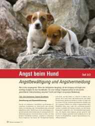 Angst beim Hund – Angstbewältigung - Schweizer Hunde Magazin