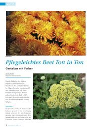 Pflegeleichtes Beet Ton in Ton - HEV Aargau