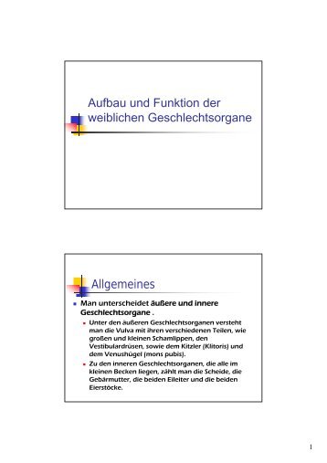 Aufbau und Funktion der weiblichen Geschlechtsorgane ... - Intern