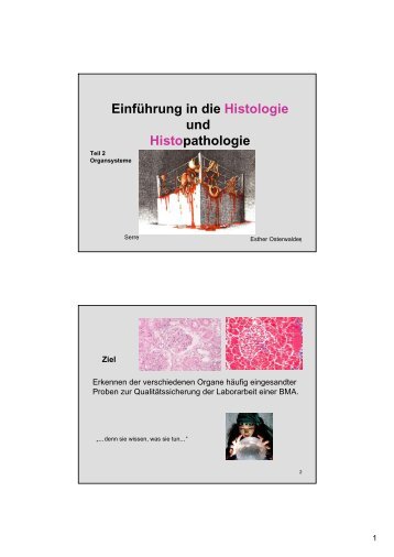 Einführung in die Histologie und Histopathologie - Esther ...