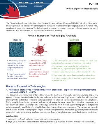 Protein Expression Technologies Available Bacterial Expression ...
