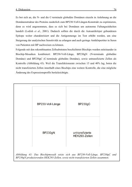 Euroimmun Medizinische Labordiagnostika AG - Universität zu Lübeck