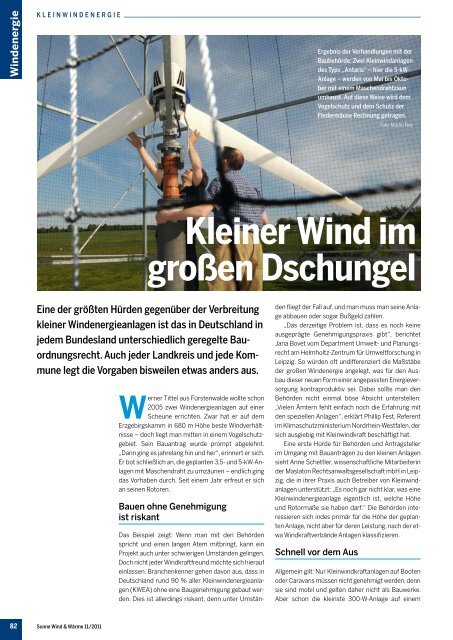 Kleiner Wind im großen Dschungel - MASLATON ...