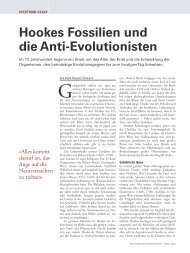 Hookes Fossilien und die Anti-Evolutionisten - Sigma Xi