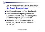 Das Kennzeichnen von Kaninchen