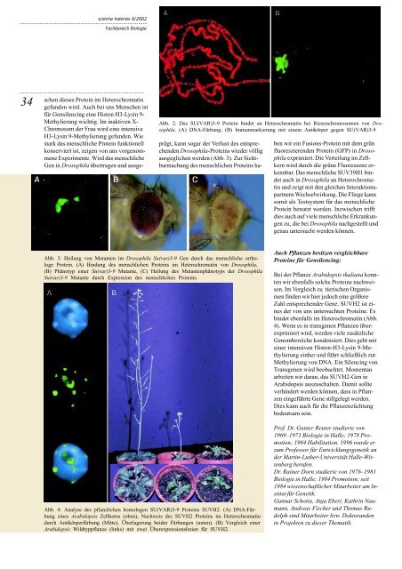 in Scientia Halensis