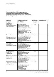 Anlage Tätigkeitsliste - § 72a SGB VIII