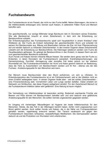 Fuchsbandwurm und Zecken.pdf - Rucksackschule