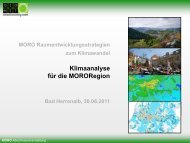 4 Klimaanalyse für die MORO Region