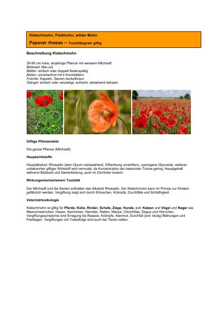 Giftige Wild- und Gartenpflanzen H – R