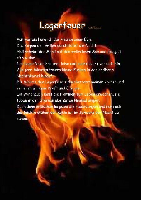 Feuer - HS1 Bad Ischl