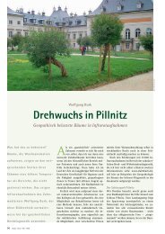 Drehwuchs in Pillnitz - Dr. med. dent. Wolfgang Burk, Privatpraxis für ...