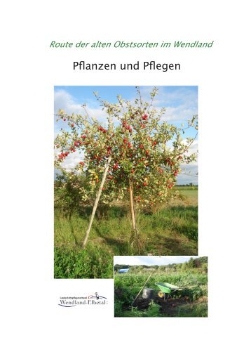 Artikel als pdf downloaden - Route der alten Obstsorten im Wendland