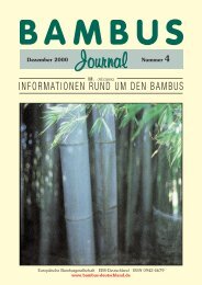 informationen rund um den bambus - Forum der European Bamboo ...