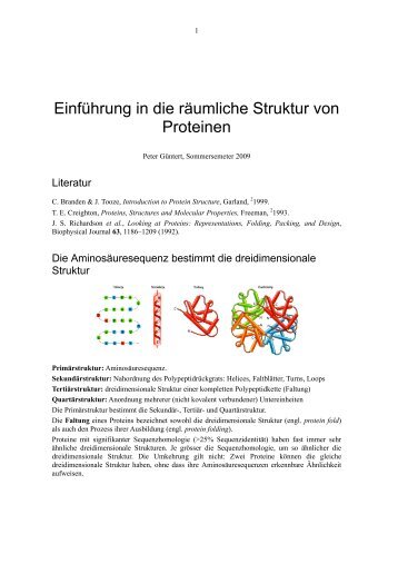 Einführung in die räumliche Struktur von Proteinen