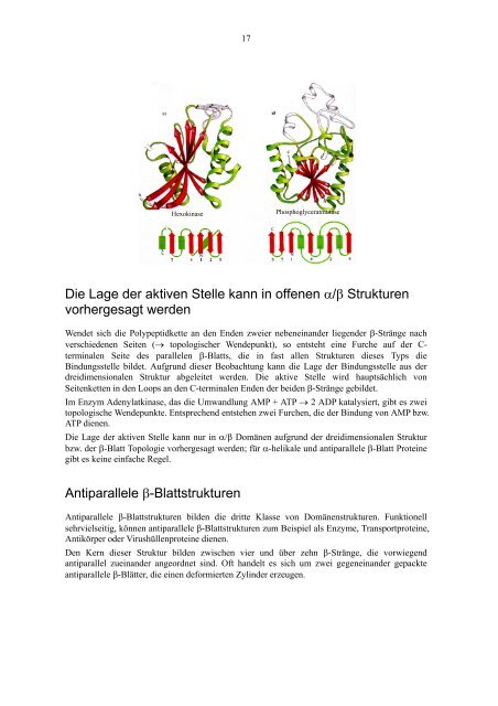 Einführung in die räumliche Struktur von Proteinen