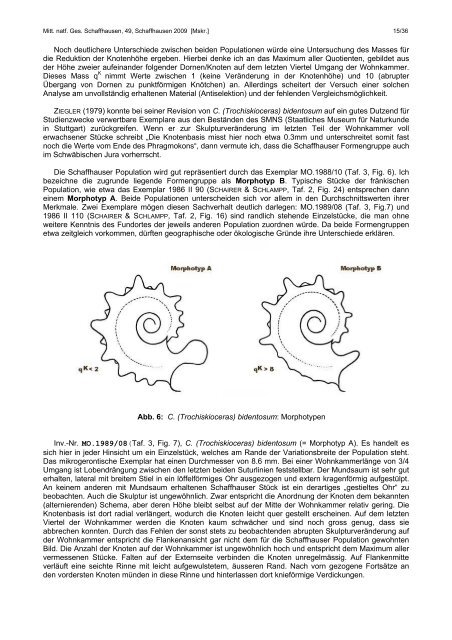 Ammoniten-Gattungen Oxydiscites und Cymaceras vom ... - NGSH